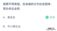 今日蚂蚁庄园10.15答案：按照不同类型，社会组织分为社会团体、民办非企业和什么？