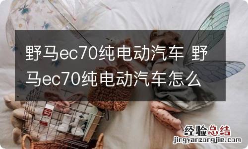 野马ec70纯电动汽车 野马ec70纯电动汽车怎么投诉