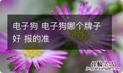 电子狗 电子狗哪个牌子好 报的准