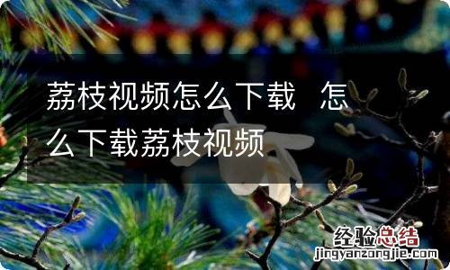 荔枝视频怎么下载怎么下载荔枝视频