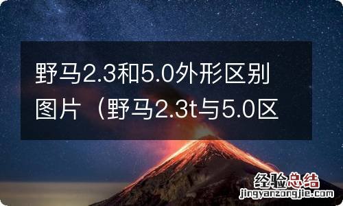 野马2.3t与5.0区别图片 野马2.3和5.0外形区别图片