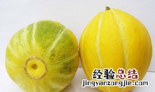 种东北香瓜的方法 香瓜的种植方法