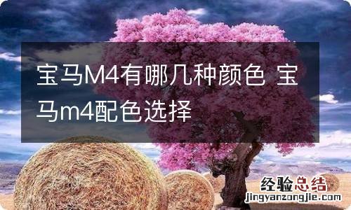 宝马M4有哪几种颜色 宝马m4配色选择