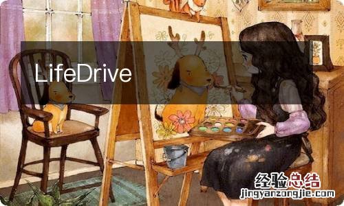 LifeDrive