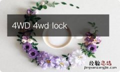 4WD 4wd lock