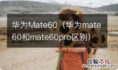 华为mate60和mate60pro区别 华为Mate60