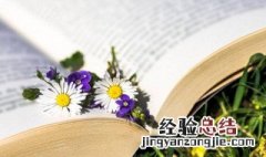 女生网名简短冷淡4个字带符号 女生网名简短冷淡4个字