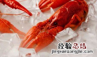 小龙虾的心脏长在什么位置啊 小龙虾的心脏长在什么位置