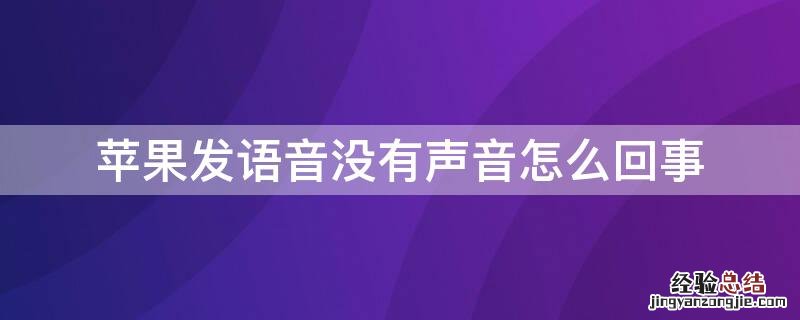 苹果发语音没声音是怎么回事 iPhone发语音没有声音怎么回事