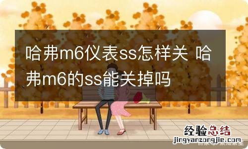 哈弗m6仪表ss怎样关 哈弗m6的ss能关掉吗