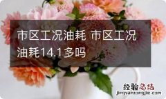 市区工况油耗 市区工况油耗14.1多吗