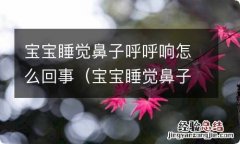 宝宝睡觉鼻子呼噜响 宝宝睡觉鼻子呼呼响怎么回事