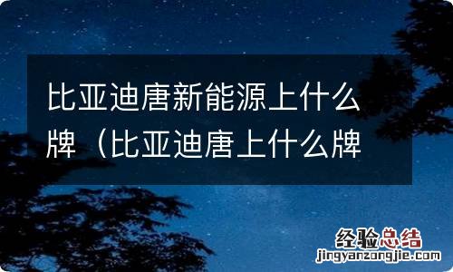 比亚迪唐上什么牌照 比亚迪唐新能源上什么牌