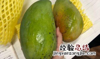 大青芒果怎么催熟 大青芒果催熟剂专用