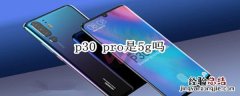 p30 pro是5g吗