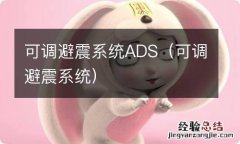 可调避震系统 可调避震系统ADS