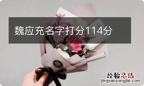 魏应充名字打分114分