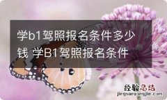 学b1驾照报名条件多少钱 学B1驾照报名条件