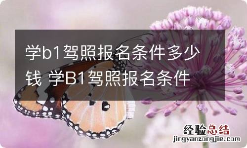 学b1驾照报名条件多少钱 学B1驾照报名条件