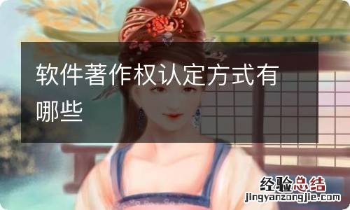 软件著作权认定方式有哪些