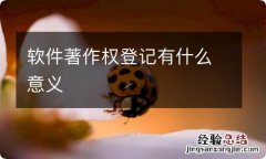 软件著作权登记有什么意义