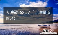 大迪霸道图片 大迪霸道SUV