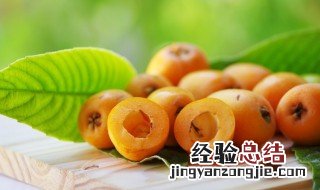 枇杷籽怎么种才能发芽什么时候种 枇杷籽怎么种才能发芽