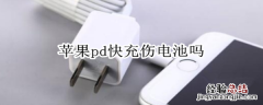 苹果pd快充伤电池吗