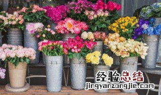 五月有什么花 四月有什么花