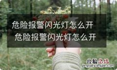 危险报警闪光灯怎么开 危险报警闪光灯怎么开关