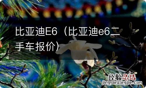 比亚迪e6二手车报价 比亚迪E6