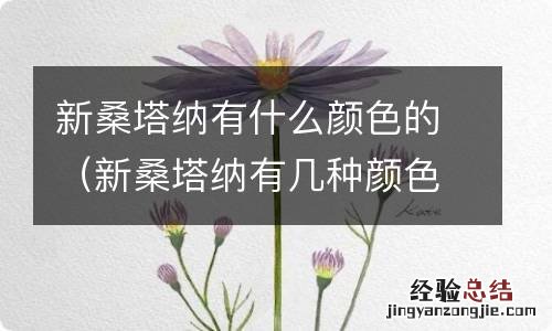 新桑塔纳有几种颜色 新桑塔纳有什么颜色的