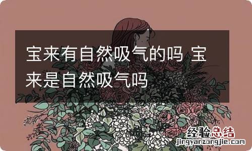 宝来有自然吸气的吗 宝来是自然吸气吗