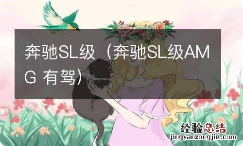 奔驰SL级AMG 有驾 奔驰SL级