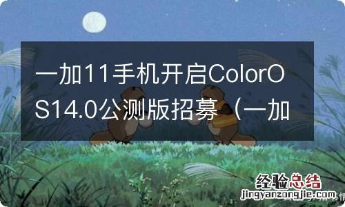 一加coloros11.3 一加11手机开启ColorOS14.0公测版招募