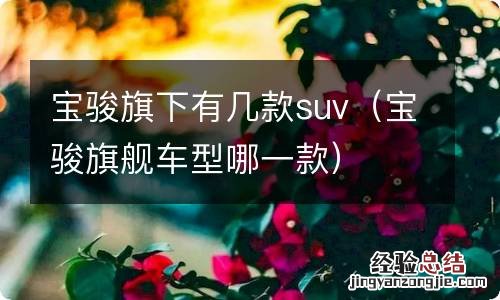 宝骏旗舰车型哪一款 宝骏旗下有几款suv