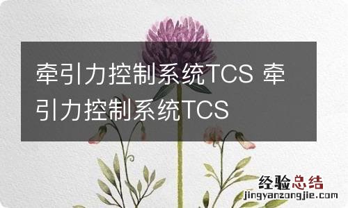 牵引力控制系统TCS 牵引力控制系统TCS