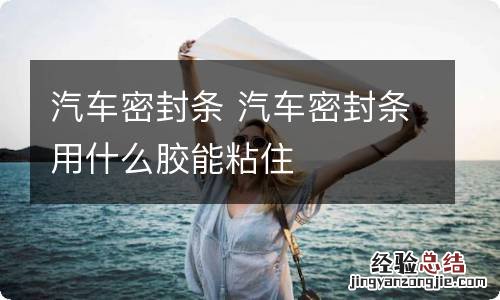 汽车密封条 汽车密封条用什么胶能粘住