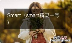 smart精灵一号 Smart