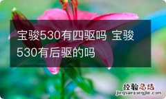 宝骏530有四驱吗 宝骏530有后驱的吗