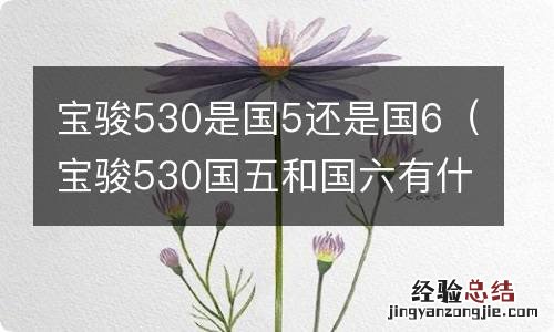 宝骏530国五和国六有什么区别 宝骏530是国5还是国6
