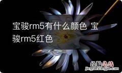 宝骏rm5有什么颜色 宝骏rm5红色