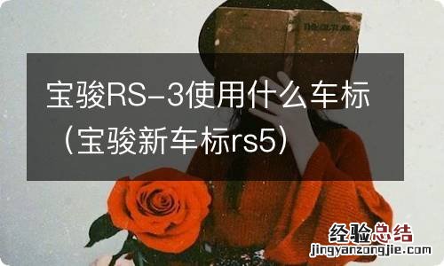 宝骏新车标rs5 宝骏RS-3使用什么车标