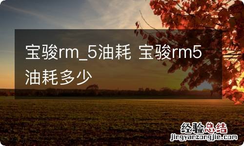 宝骏rm_5油耗 宝骏rm5油耗多少