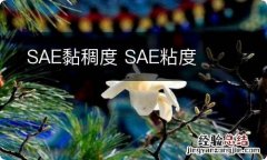 SAE黏稠度 SAE粘度