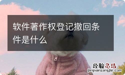 软件著作权登记撤回条件是什么