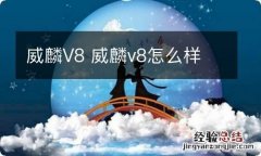 威麟V8 威麟v8怎么样