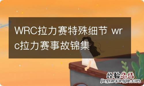 WRC拉力赛特殊细节 wrc拉力赛事故锦集