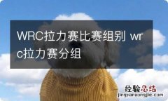 WRC拉力赛比赛组别 wrc拉力赛分组