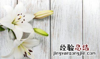 正常异性朋友送什么花 异性普通朋友送什么花